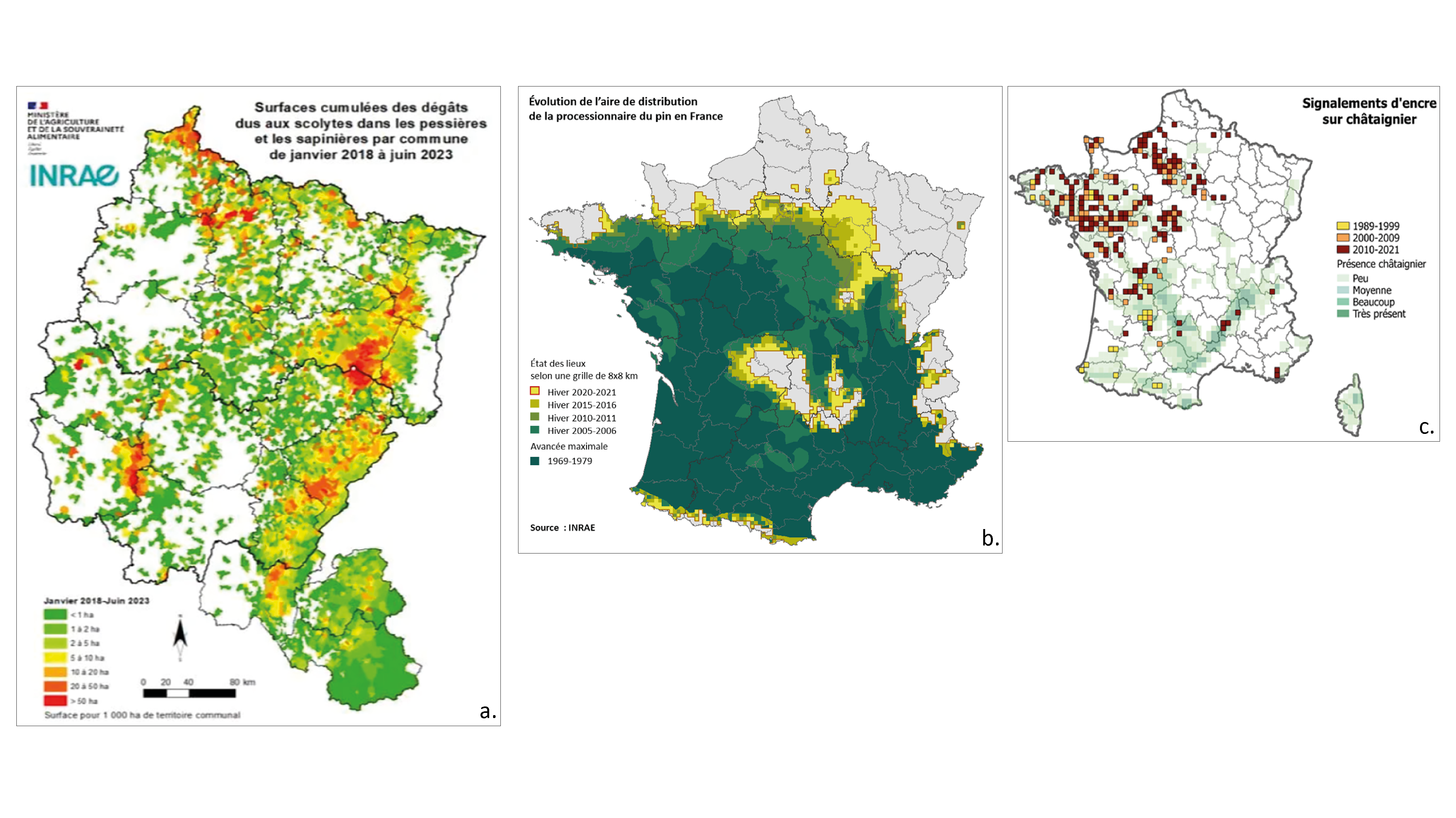 Surfaces cumulées des dégâts dus aux scolytes dans les pessières et les sapinières par commune de janvier 2018 à juin 2023 (a), Evolution de l'aide de distribution de la processionnaire du pin en France (b) et Signalements d'encre sur châtaignier (c). Crédits : © Ministère de l'Agriculture et de la Souveraineté Alimentaire (Département de la Santé des Forêts) et © INRAE.