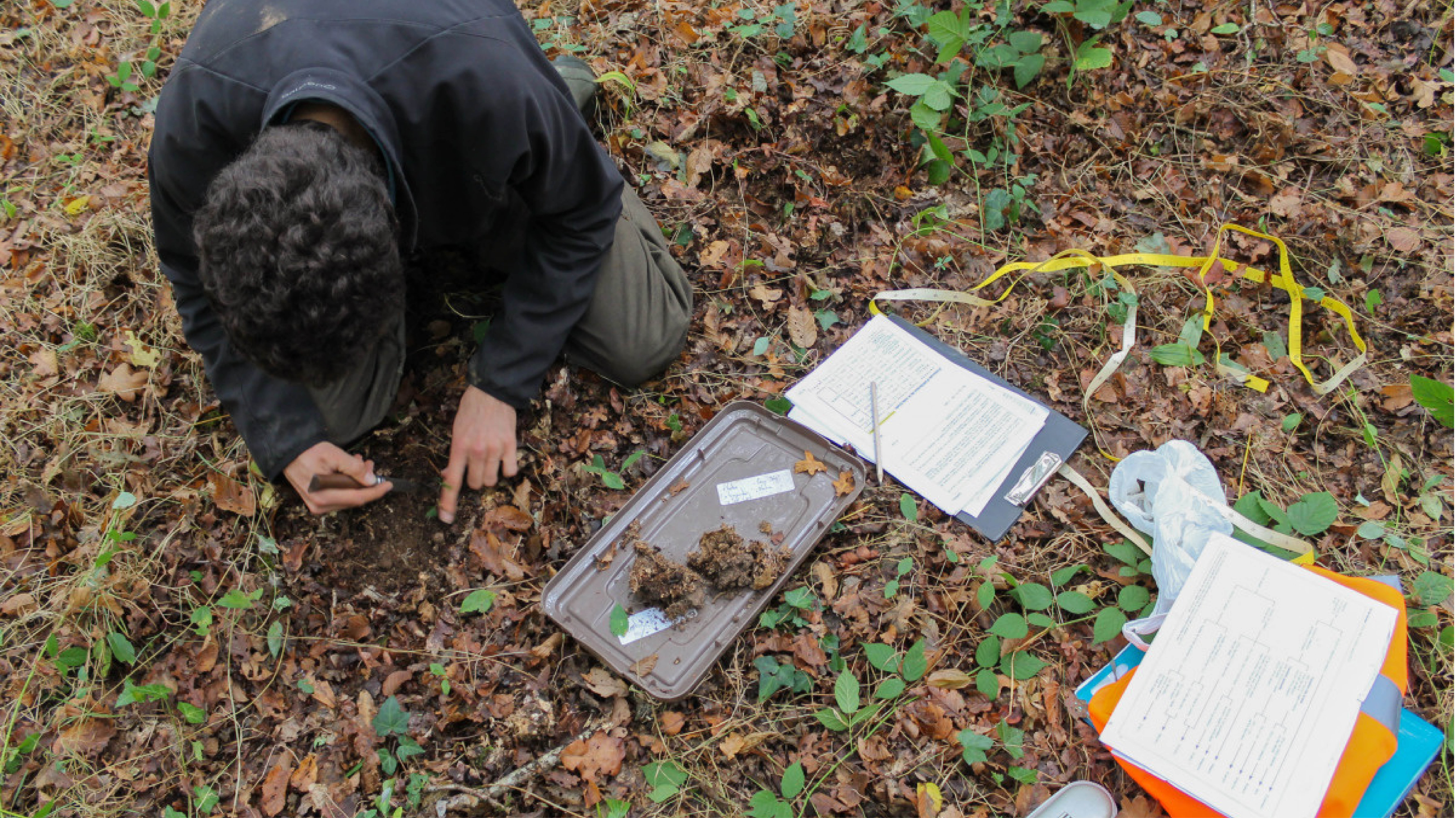 Détermination de l'humus sur une placette BioClimSol de Chêne pédonculé. Crédit : Louis-Adrien Lagneau - CRPF Bourgogne © CNPF.