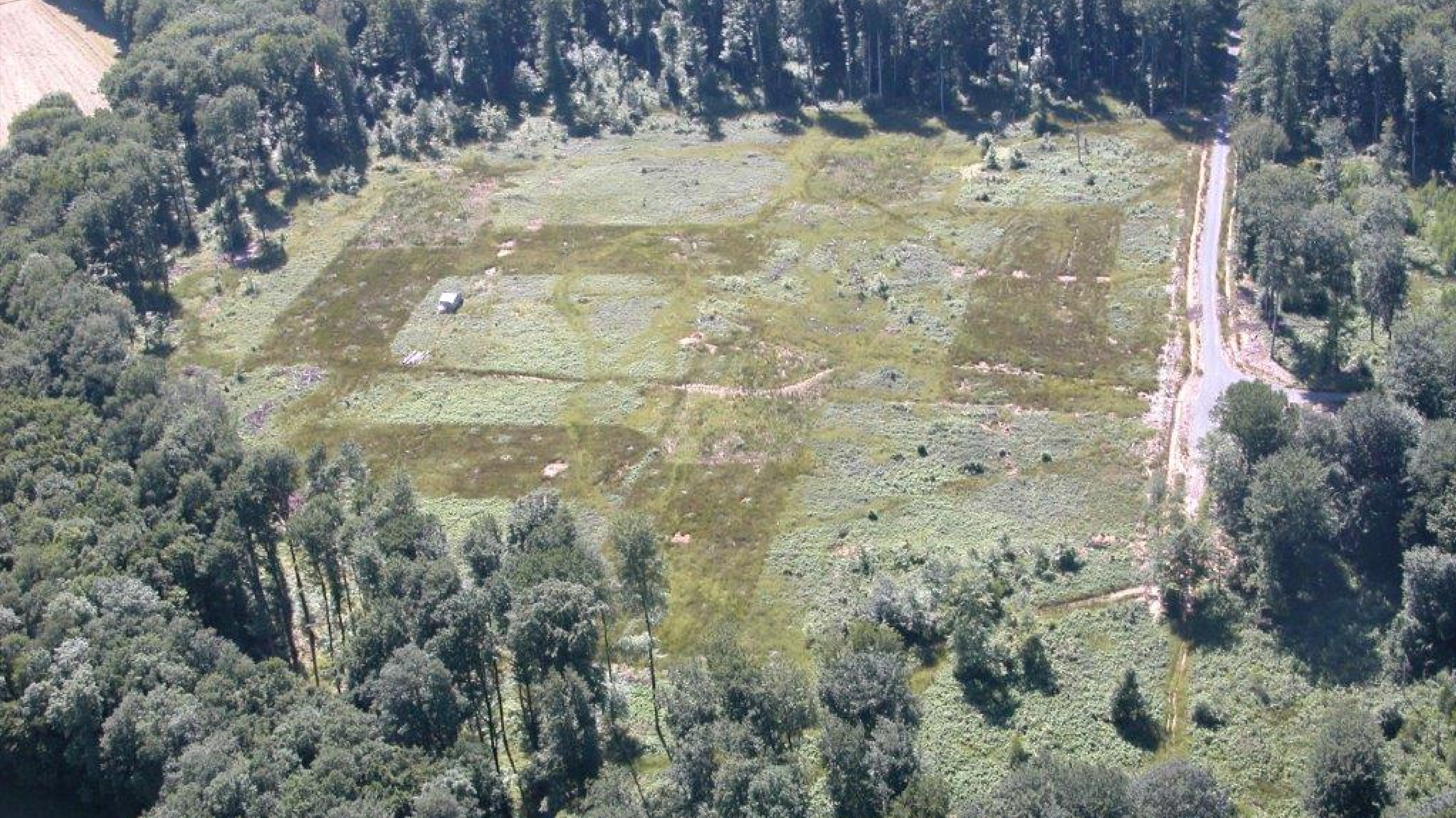 Le dispositif Azerailles - Clermont en Argonne est dédié à l'étude de l'impact du tassement en milieu forestier sur la régénération, les cycles biogéochimiques et la biodiversité. Les sites sont lourdement instrumentés pour le suivi à long terme des gaz du sol, des flux d'eau et d'éléments majeurs entre les différents compartiments de l'écosystème (lysimètres à différentes profondeurs, sondes d'humidité et température...). Crédit : © Christophe Bailly, Inrae.