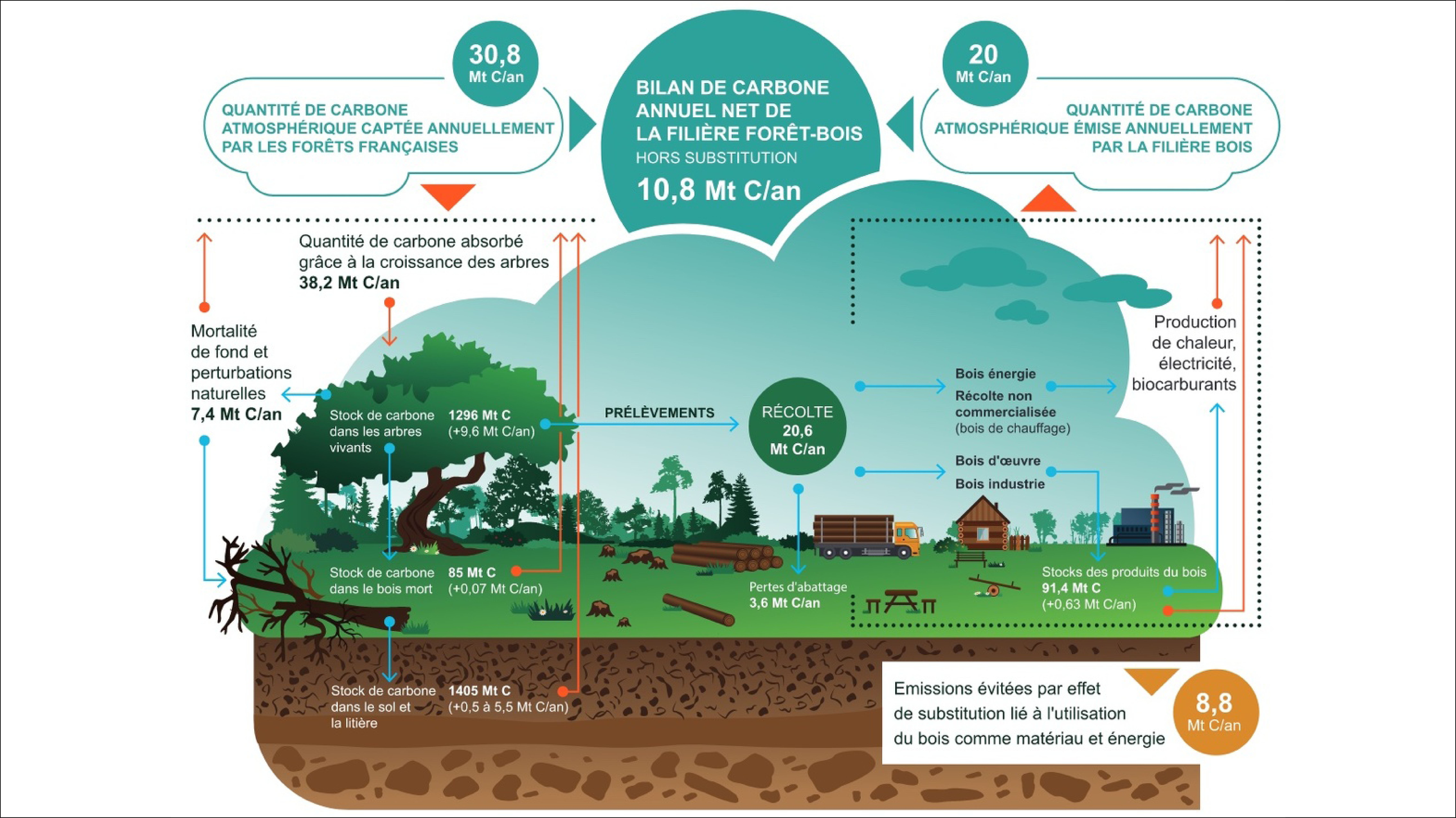 Bilan de carbone des écosystèmes forestiers et des produits du bois pour le territoire métropolitain. Crédit : Les forêts françaises face au changement climatique, Rapport du Comité des sciences de l’environnement de l’Académie des sciences et points de vue d’Académiciens de l’Académie d’Agriculture de France - juin 2023.