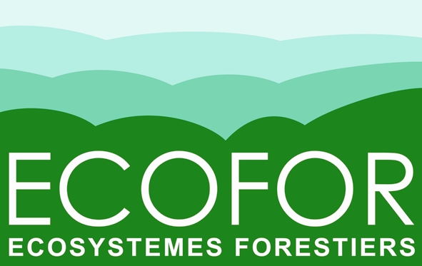 Logo du Groupement d'intérêt public ECOFOR