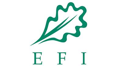 EFI