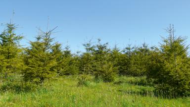 Colloque de restitution n°3 (2014)