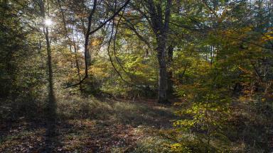 Atelier PEI Paris (2018)