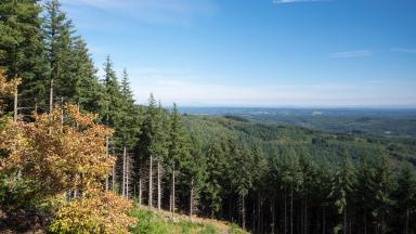 Atelier PEI Bordeaux (2018) 