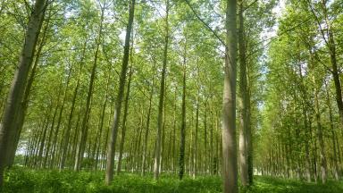 Atelier PEI Nantes (2018)