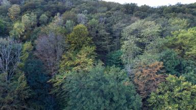 ATELIER PEI Metz (2017)