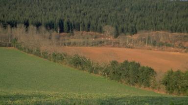 ATELIER Arbre agricole (2012)