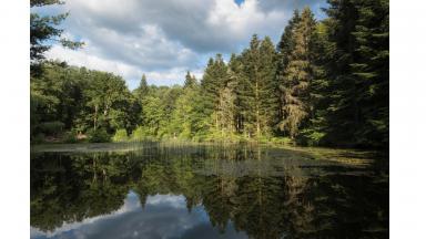 Plans d'action et stratégies pour l'adaptation (2014) 