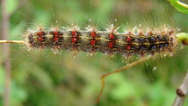 ATELIER Risques (2013)