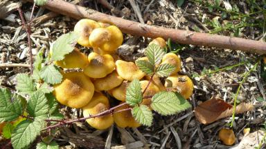 Colloque de restitution n°1 (2010)