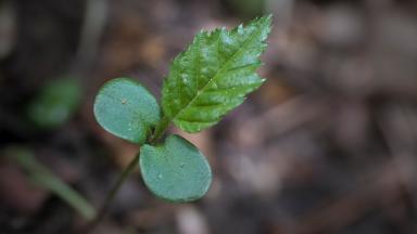 Colloque de restitution n°2 (2012)