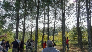 ATELIER Formations (2018)