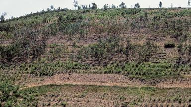 ATELIER Génétique (2011)