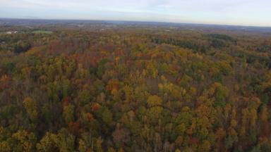 ATELIER Télédétection (2011)