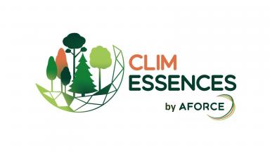 ClimEssences, pour vous aider dans le choix des essences forestières en contexte de climat changeant (2021)