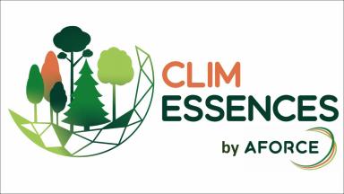 ClimEssences, pour vous aider dans le choix des essences forestières en contexte de climat changeant (2021)