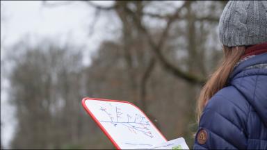 Mobilisation des forestiers face au changement climatique (2015)