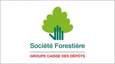  Société Forestière de la Caisse des Dépôts et Consignations (SFCDC)