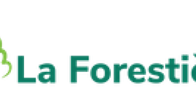  Société Forestière de la Caisse des Dépôts et Consignations (SFCDC)