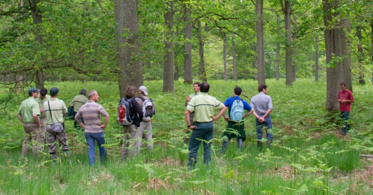 Le rôle du réseau AFORCE dans la formation