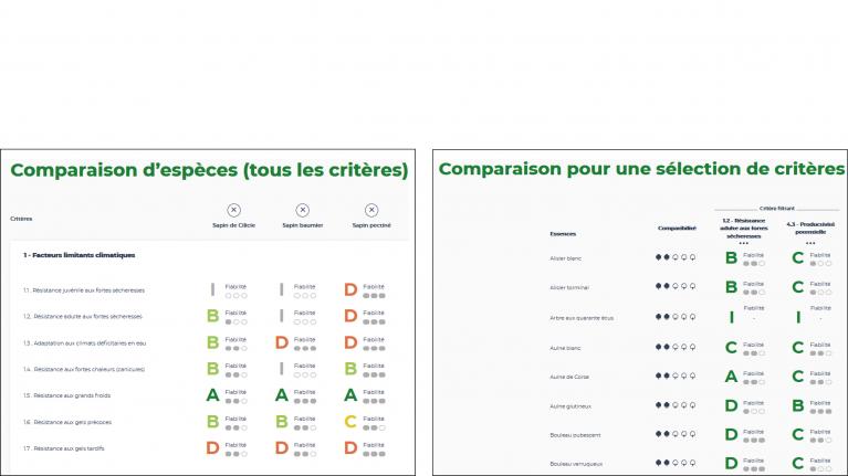 608x342_Fiches_especes_comparaison