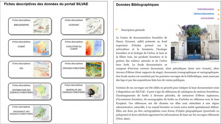 608x342_SILVAE_Fiches