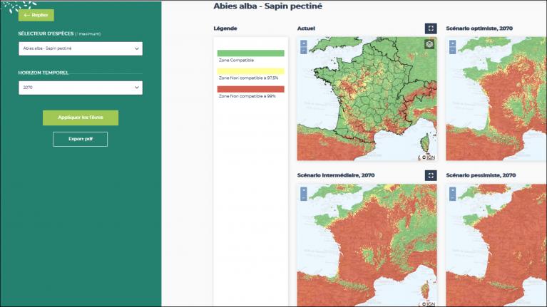 608x342_compatibilité_climatique_abies_alba