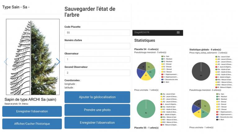 608x342_diagnostique_sauvegarde_diagArchi