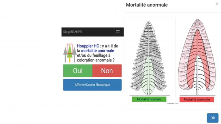 608x342_requete_renseignement