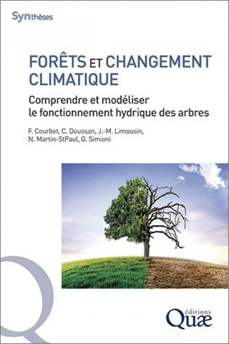 couv_ouvrage_redsurf_cadre