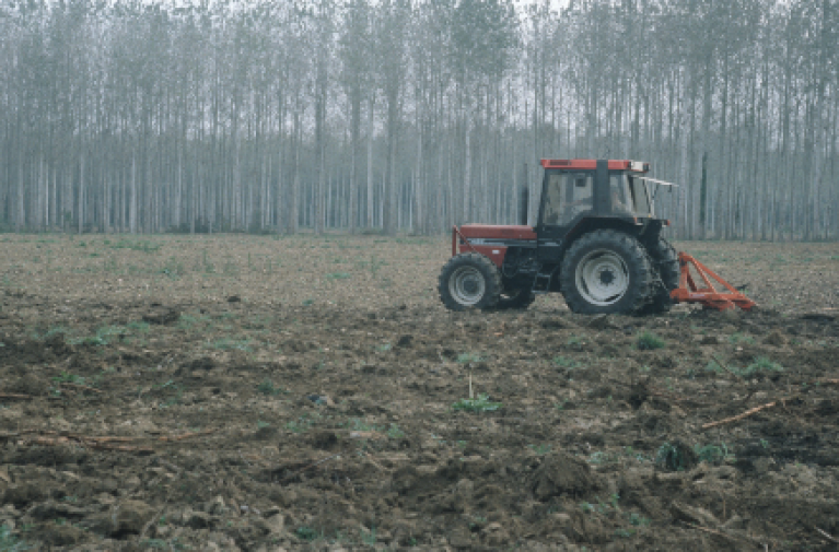 preparation_sol_Gonin