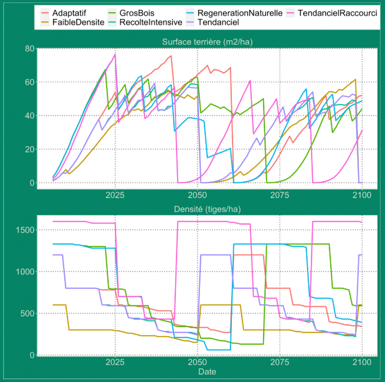 ITS_Douglas_Forêts-21