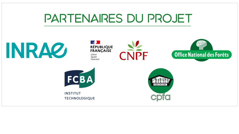 Partenaires SYLVEAU