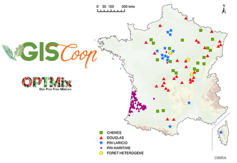 Dispositifs experimentaux SYLVEAU