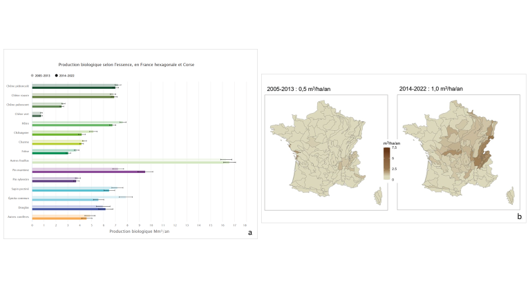 Baisse de la croissance et doublement de la mortalité en 10 ans. Crédit : ©IGN.