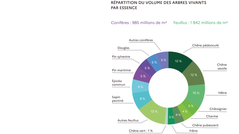 Répartition du volume des arbres vivants par essence. © IGN, Memento 2024 