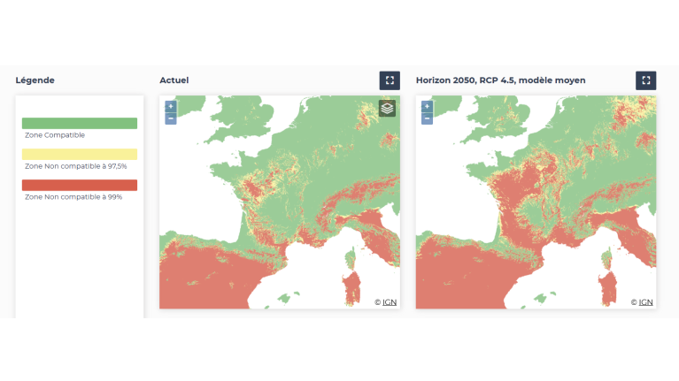 Carte de compatibilité climatique pour Abies Alba, selon les 3 indicateurs IKS, actuellement et pour un scénario RCP 4.5 modèle moyen à l'horizon 2050.