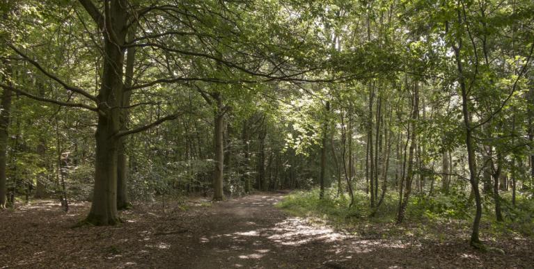 00021664_Sylvain Gaudin – CRPF CA © CNPF