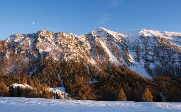 00053967_Etienne Beraud©CNPF