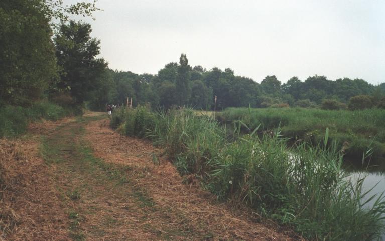 00007531_Mireille Mouas - IDF © CNPF