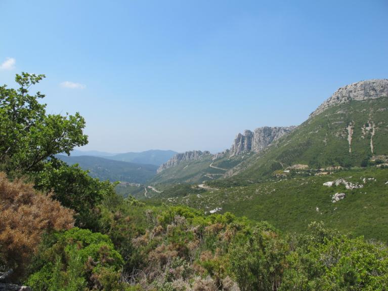 00013449_Mireille Mouas - IDF © CNPF