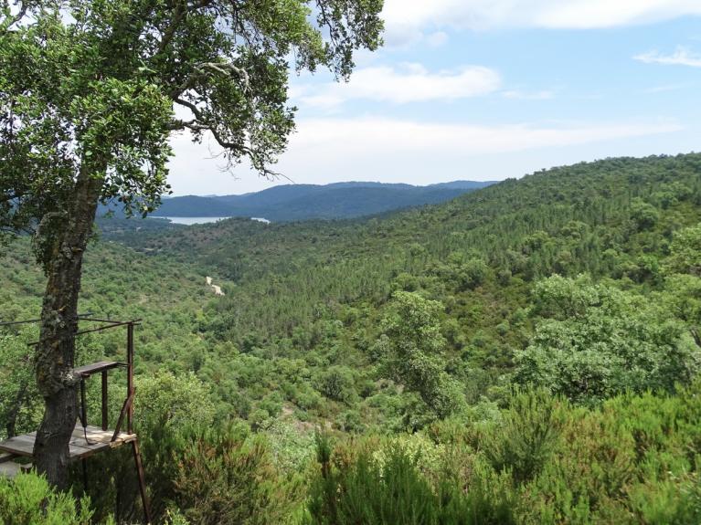 00039228_Quentin Vanneste - CRPF PACA © CNPF