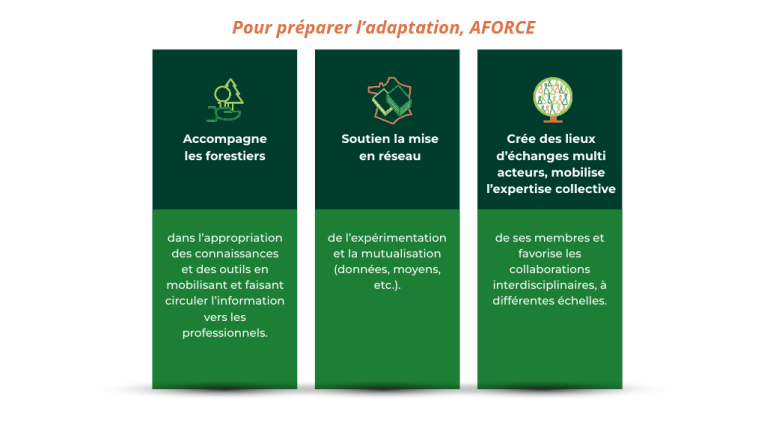Missions AFORCE